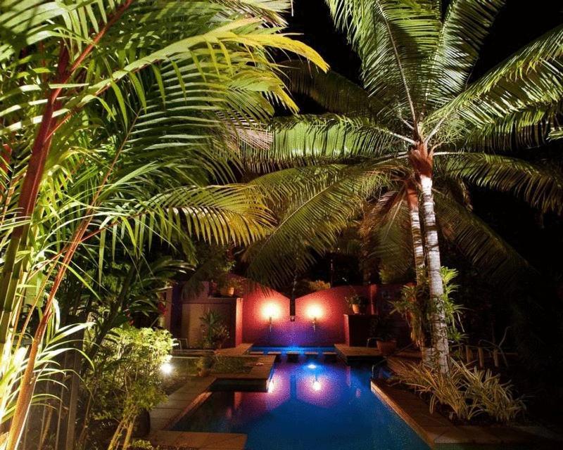 Dreamcatcher Beach-Side Apartments Port Douglas Bagian luar foto